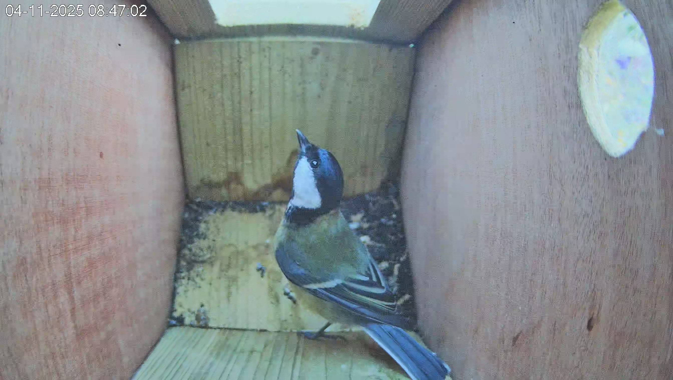 Afbeeldingslocatie: https://tweakers.net/fotoalbum/image/HgI0sdQ2eEg16Da8aqhnZnCv.jpg