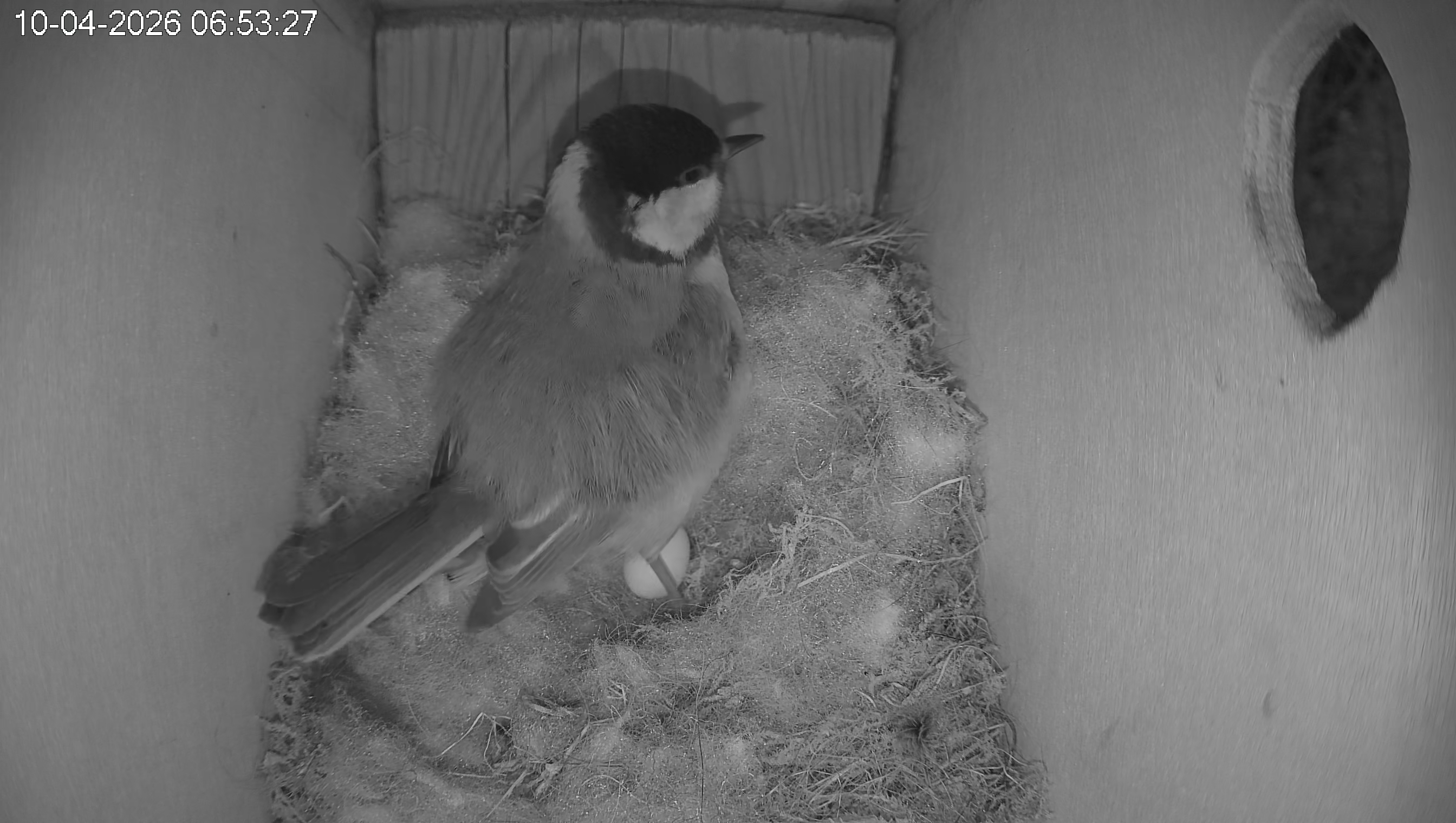 Afbeeldingslocatie: https://tweakers.net/fotoalbum/image/PBvBZu7bBRWTp8xEGEMPvRa6.jpg