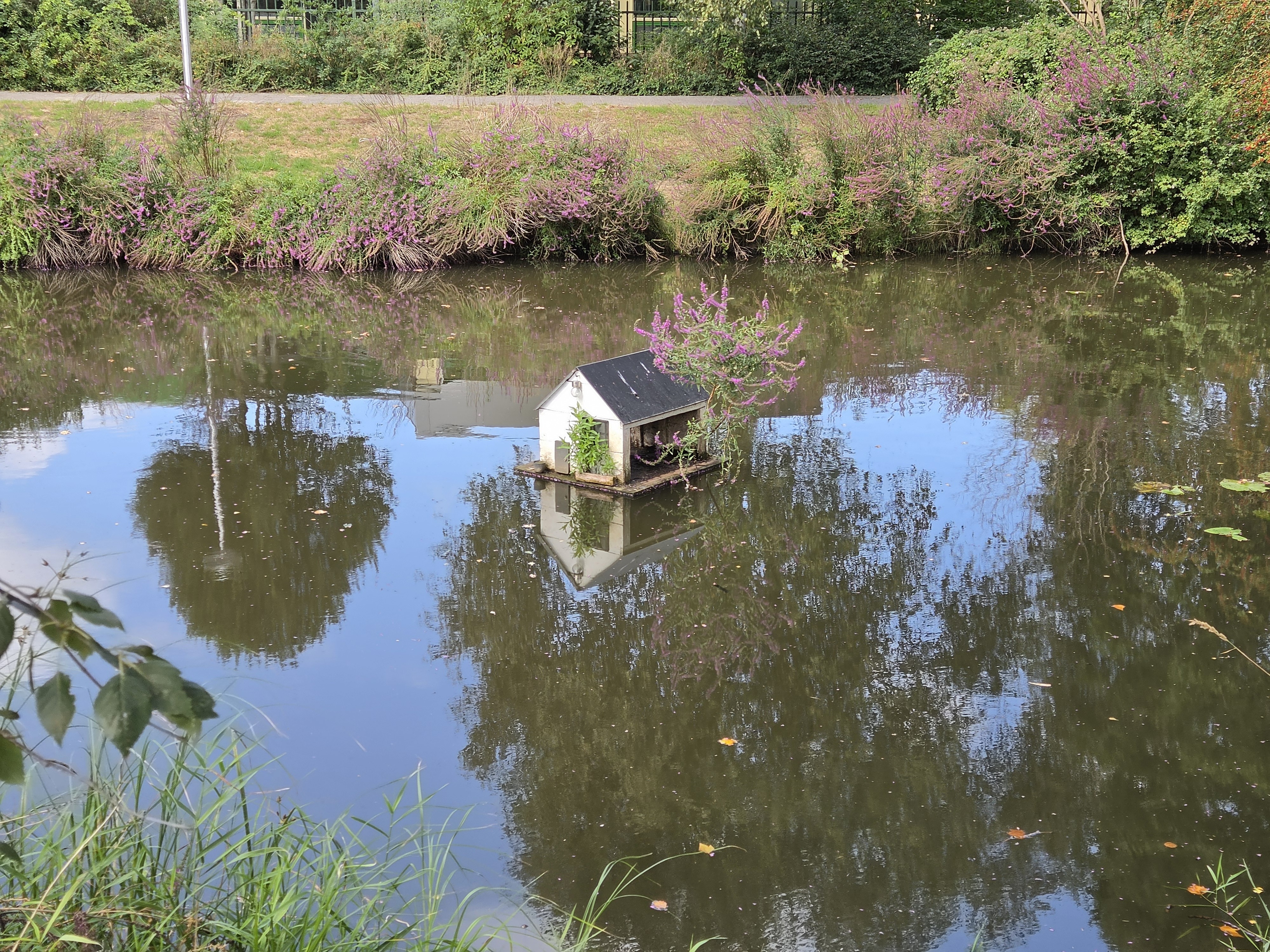 Afbeeldingslocatie: https://tweakers.net/fotoalbum/image/aiLFnfVFLlVnIUVymg9VPdqx.jpg