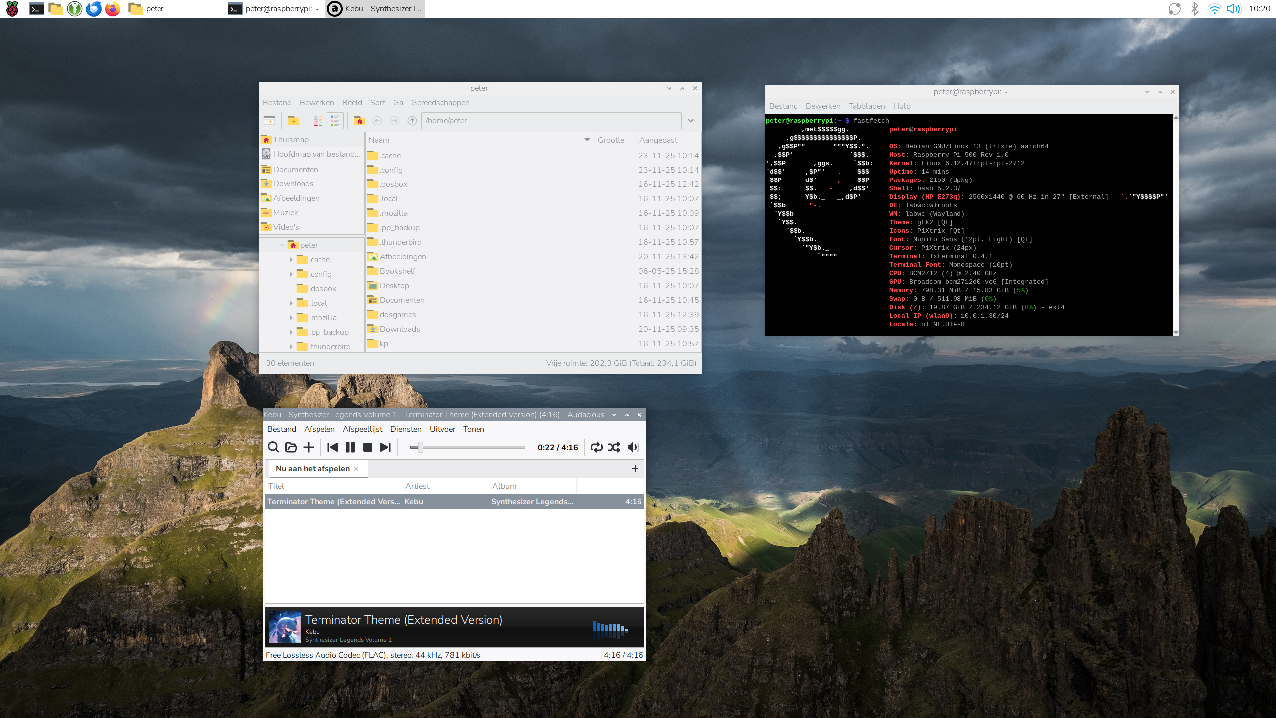 Raspberry Pi OS Desktop