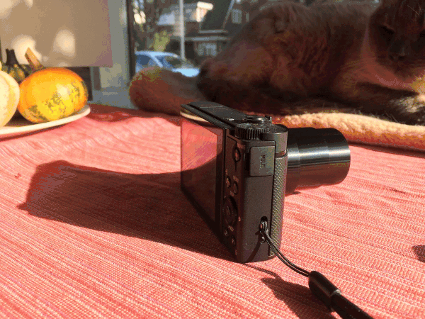 https://tweakers.net/fotoalbum/image/gFQ01y1wMLeUDCcr3u4RaMju.gif