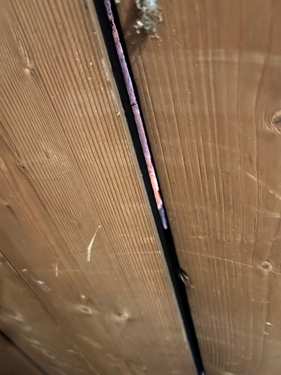 Afbeeldingslocatie: https://tweakers.net/fotoalbum/image/l3tLUW85X6O9V2pCxilP79lE.jpg