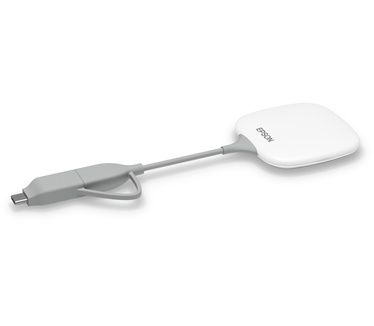 Epson ELPWP10