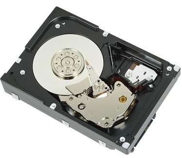 Dell 300GB SAS