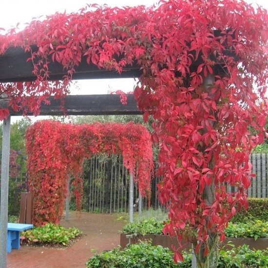 Afbeeldingslocatie: https://tweakers.net/i/-6UOf8OetLLGtuYnR3cpw-G30a0=/fit-in/4920x3264/filters:max_bytes(3145728):no_upscale():strip_icc():strip_exif()/f/image/RCNIDQYHsR6yhQ2YmJ6ONtUj.jpg?f=user_large