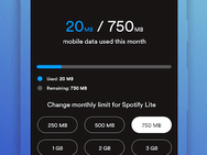 Spotify Lite