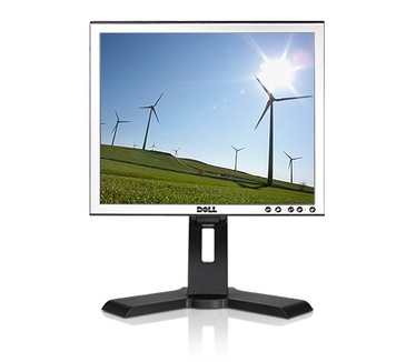 Dell Professional P170S