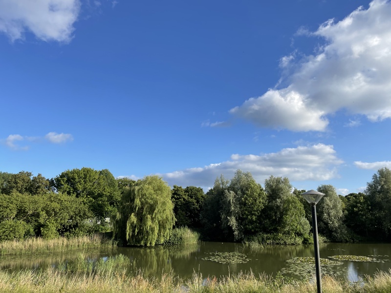 Afbeeldingslocatie: https://tweakers.net/i/-8eNEDruB05tLCiTaZ6n90-ny3k=/800x/filters:strip_icc():strip_exif()/f/image/FV8xUsk2nMtuB3JYFqHTHhn2.jpg?f=fotoalbum_large