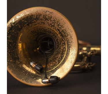 SBS TEJZEARACIDG (Goud, Zwart)
