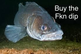 Afbeeldingslocatie: https://tweakers.net/i/-A5KrZyW_GfbSbufjryvJs9wyxs=/fit-in/4920x3264/filters:max_bytes(3145728):no_upscale():strip_icc():strip_exif()/f/image/Eyicl1v1RwV6KvvqF1vpRS4n.jpg?f=user_large