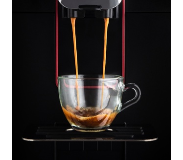 Gaggia RI8701