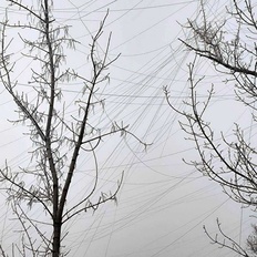 Afbeeldingslocatie: https://tweakers.net/i/-CJvkVrAk0ovwRcEojIM1XY85TM=/232x232/filters:strip_icc():strip_exif()/f/image/oLmiBGtXFsvk440TkyqHstWD.jpg?f=fotoalbum_tile