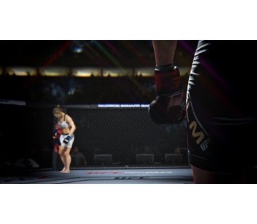 EA Sports UFC 2, PlayStation 4
