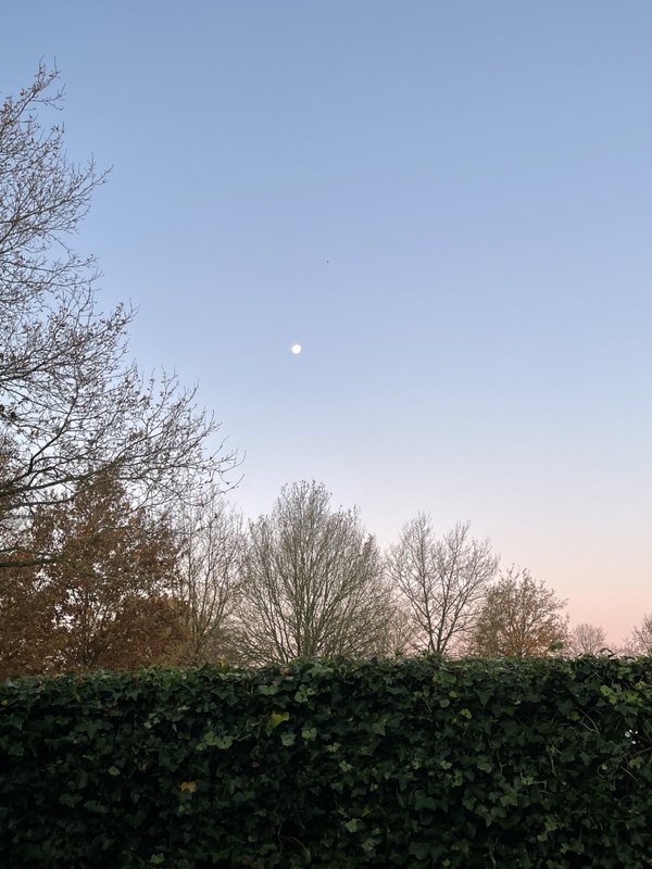 Afbeeldingslocatie: https://tweakers.net/i/-DdlsCr7y59gsGmZpwfKmM8IFUE=/x800/filters:strip_icc():strip_exif()/f/image/iAz58NIJZTrITOjmCduXCIna.jpg?f=fotoalbum_large