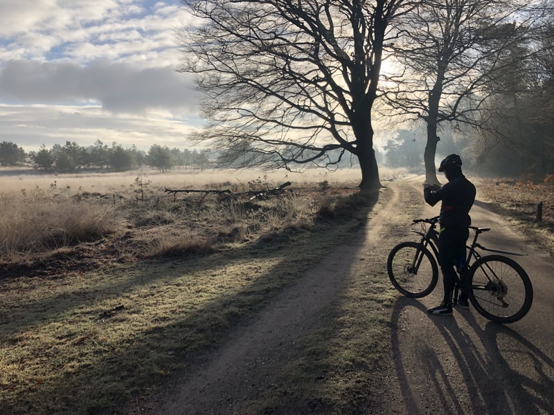 Afbeeldingslocatie: https://tweakers.net/i/-FFllWzusUrZoy6Xx_yC1ngJ_EA=/800x/filters:strip_icc():strip_exif()/f/image/VzBlxQQwQ7uQEqQgJD3fHYPJ.jpg?f=fotoalbum_large