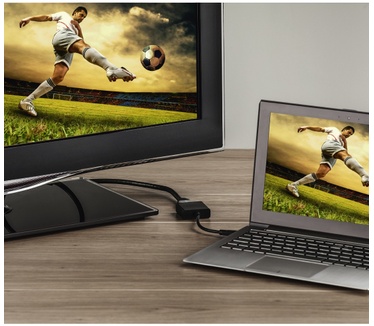 Hama USB-C/DisplayPort