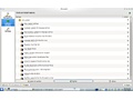 Kubuntu 10.04 LTS