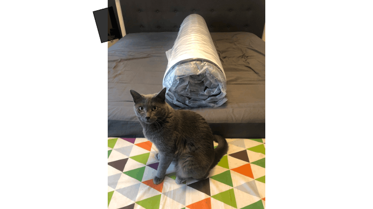 Afbeeldingslocatie: https://tweakers.net/i/-NoHOEQu71xcgowugjyco0VT6gc=/full-fit-in/4000x4000/filters:no_upscale():fill(white):strip_exif()/f/image/u1IP1xB3I50ut1WzqwCADdMh.png?f=user_large
