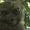 avatar van infernix