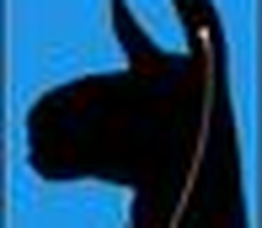 Winamp iPod Plugin logo (60 pix)