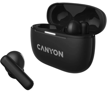 Canyon CNS-TWS10B