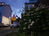 Fotovergelijking compactcamera versus smartphone - Galaxy S8
