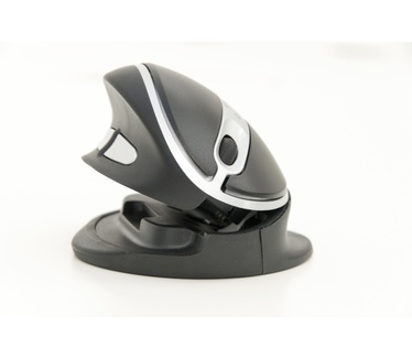 Ergoline Oyster Ergonomic Adj. Mouse Left/Right USB wireless USB (5081RF)