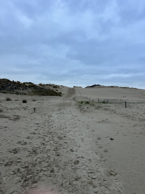 Afbeeldingslocatie: https://tweakers.net/i/-UXx3DqyX1WjpUWiMPrJKpN1sq0=/x800/filters:strip_icc():strip_exif()/f/image/AN5Gv1N6JYcMgph9oj8ax9DA.jpg?f=fotoalbum_large