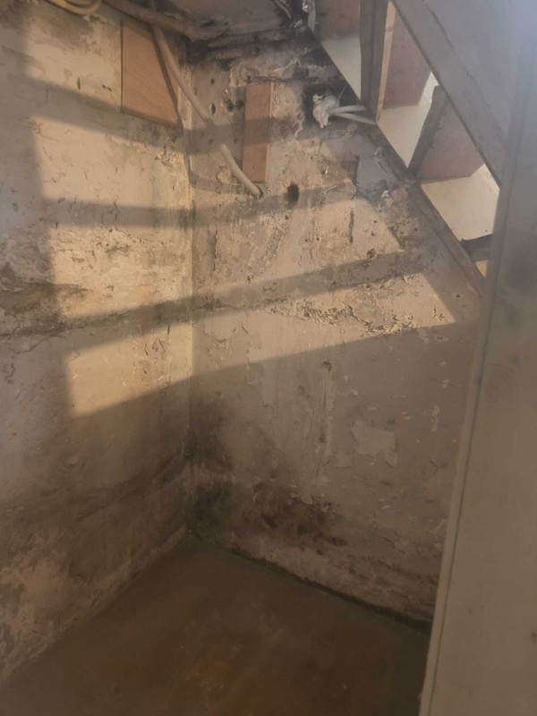 Afbeeldingslocatie: https://tweakers.net/i/-UllHgtABhVNm7CFf3qq9B1YWbc=/x800/filters:strip_icc():strip_exif()/f/image/GgfRdtIvoGgCBnBaybvo8xAp.jpg?f=fotoalbum_large