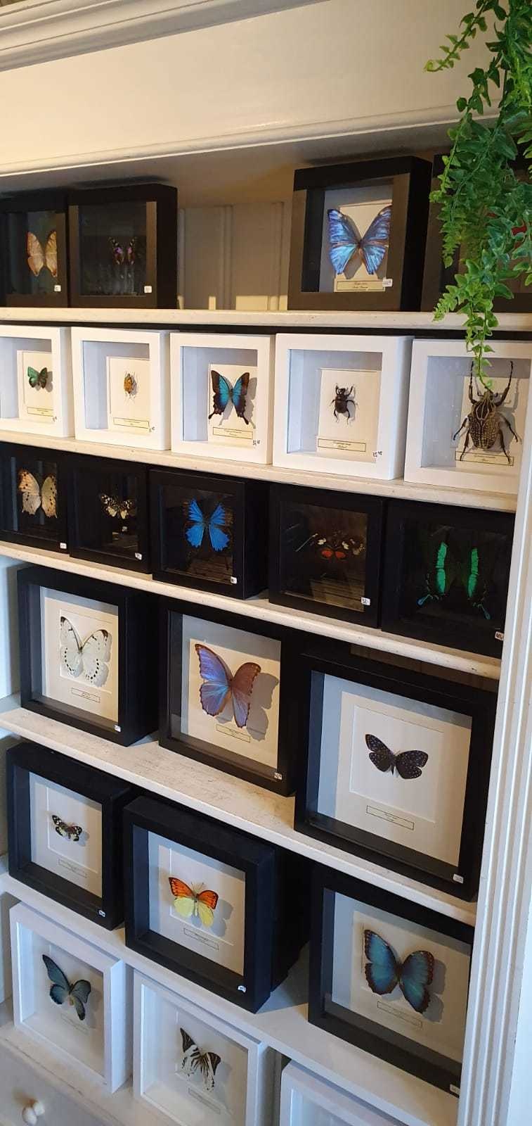 Afbeeldingslocatie: https://tweakers.net/i/-W4-D1zdcRw7wZPeLtu99YzrvtE=/full-fit-in/4920x3264/filters:max_bytes(3145728):no_upscale():strip_icc():fill(white):strip_exif()/f/image/jJJuF2dShP02VWm0FdCUsm4N.jpg?f=user_large