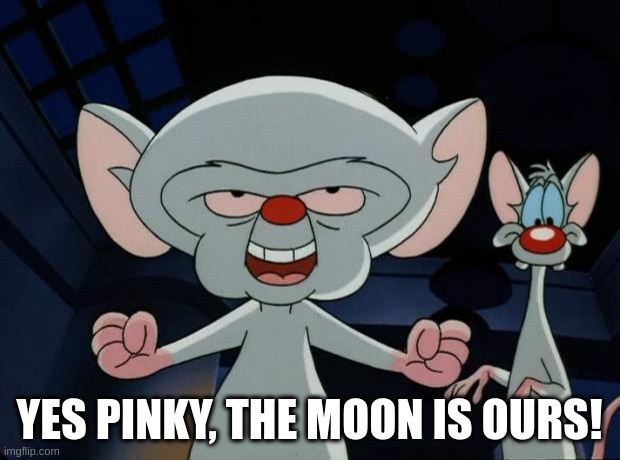 Afbeeldingslocatie: https://tweakers.net/i/-WzEamC1mWmYSjEDI7exNo8vORo=/full-fit-in/4920x3264/filters:max_bytes(3145728):no_upscale():strip_icc():fill(white):strip_exif()/f/image/o68jLVlKK7BfZ7cuk1YYJjL9.jpg?f=user_large