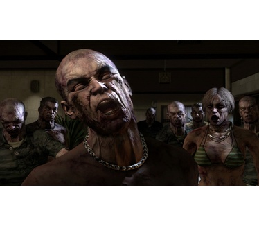 Dead Island: Definitive Edition, Windows