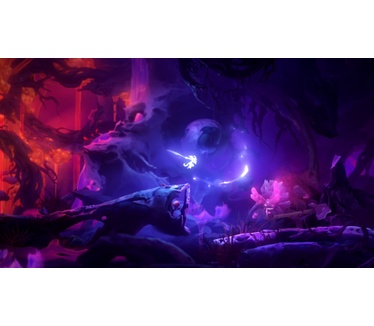 Ori and the Will of the Wisps, Switch