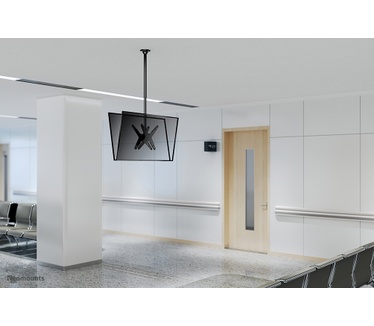 Neomounts by Newstar Neomounts by Newstar TV/monitor plafondsteun