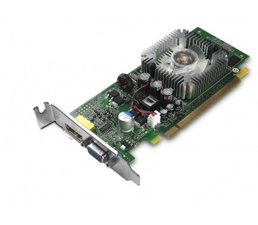 Nvidia 512MB NVIDIA GeForce 310 DisplayPort, VGA Graphics Card