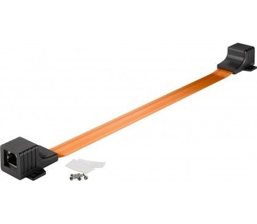 Wentronic RJ45 0.3 m