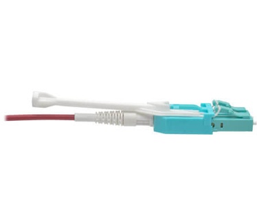 Tripp-Lite N821-09M-MG-T