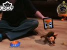 EyePet
