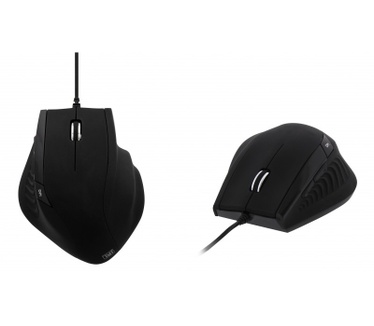 T'nB Ergo
