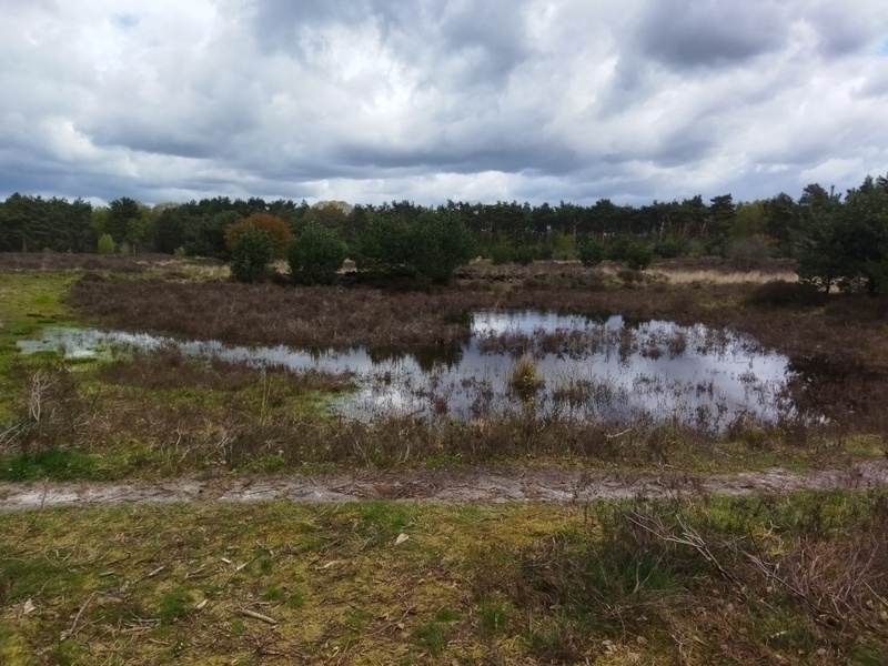 Afbeeldingslocatie: https://tweakers.net/i/-qs25cAbHhwV8mIMxvto11NxmkA=/800x/filters:strip_icc():strip_exif()/f/image/fKfSpSbW1gqkUwKR4phDKiTw.jpg?f=fotoalbum_large