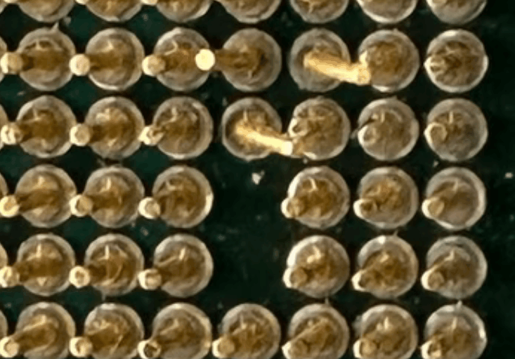 Afbeeldingslocatie: https://tweakers.net/i/-rVK8jFhBDFk0WTxKVrWsFCihtw=/fit-in/4000x4000/filters:no_upscale():strip_exif()/f/image/BYWWRVAkGe2ud9GNL3Rw58PO.png?f=user_large