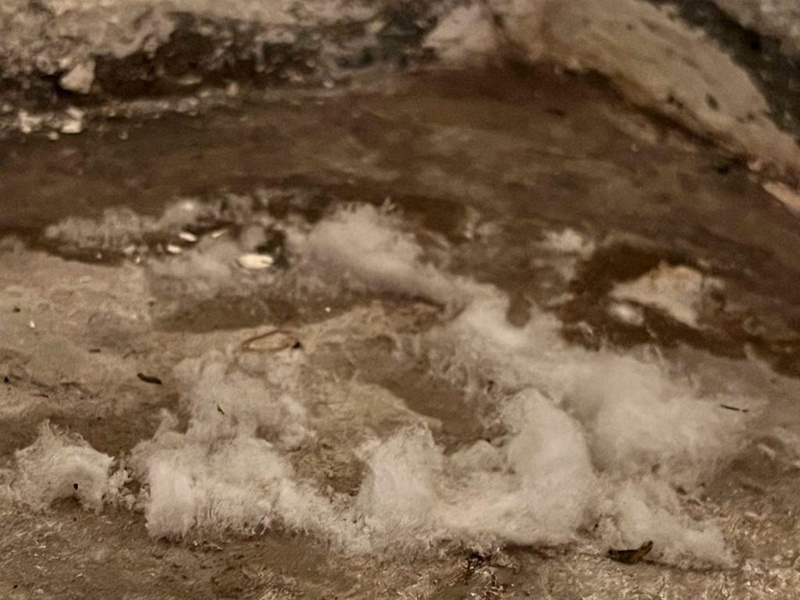 Afbeeldingslocatie: https://tweakers.net/i/-vxUw_gmsWssqv2vA_2Yc0OH3js=/800x/filters:strip_icc():strip_exif()/f/image/1r9LYSkdTbOYZNX0AD6tiPyY.jpg?f=fotoalbum_large