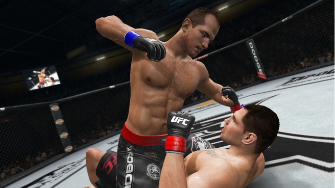 UFC Undisputed 3