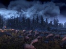 Witcher 3