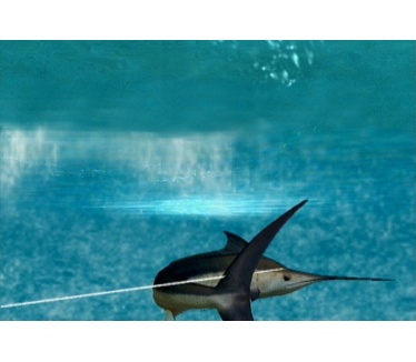 Reel Fishing: Angler's Dream