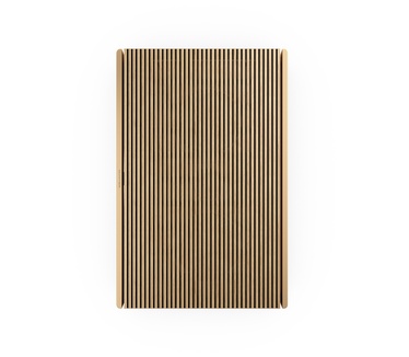 Bang & Olufsen Beosound Level