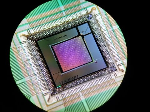 washington  d-wave