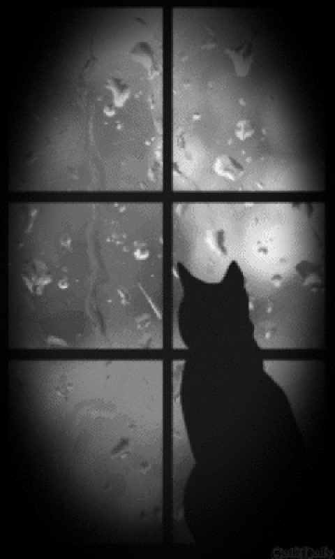 Afbeeldingslocatie: https://tweakers.net/i/02cEB8LzsdYgoPe4Rk9x6iQvr_E=/x800/filters:gifsicle():strip_exif()/f/image/luFR1RGk3km95Fnoj39JqtiL.gif?f=fotoalbum_large