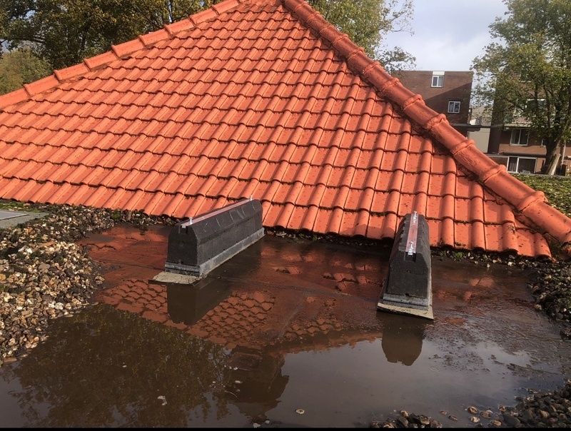 Afbeeldingslocatie: https://tweakers.net/i/03pqr6o5JjpljYoaLlsnua2vQQU=/800x/filters:strip_icc():strip_exif()/f/image/3Un0G8OXmxPtujFOHYUC4dgM.jpg?f=fotoalbum_large