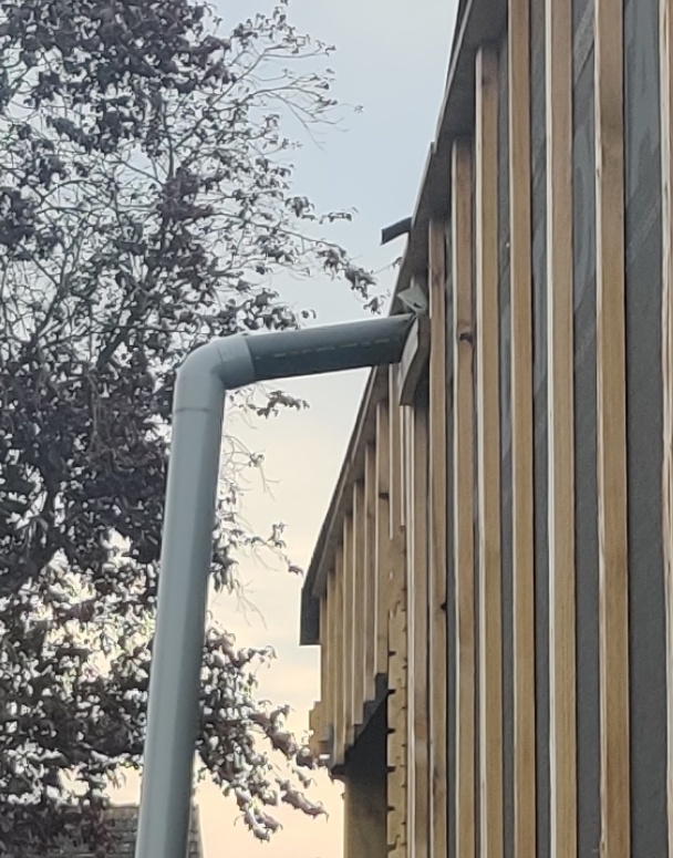 Afbeeldingslocatie: https://tweakers.net/i/06LnVZTtE_9kH2gPbTJ8bRQoaEo=/full-fit-in/4920x3264/filters:max_bytes(3145728):no_upscale():strip_icc():fill(white):strip_exif()/f/image/bqNfN2P0GnwadhvZ7QRyp0NL.jpg?f=user_large